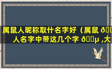 属鼠人昵称取什名字好（属鼠 🌼 人名字中带这几个字 🌵 ,大富大贵,转发行大运）